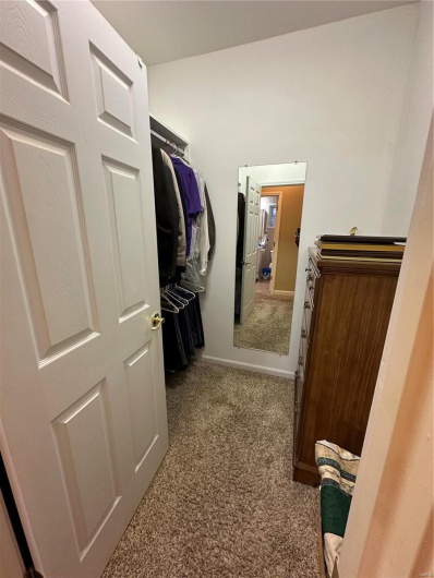 Spacious closet with carpet floors