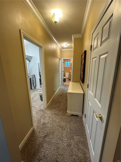 Hall featuring ornamental molding, carpet, and a textured ceiling