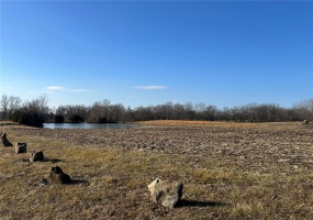 1 Murdach Estates, Chester, Illinois 62233, ,Land,For Sale,Murdach Estates,MAR25004614