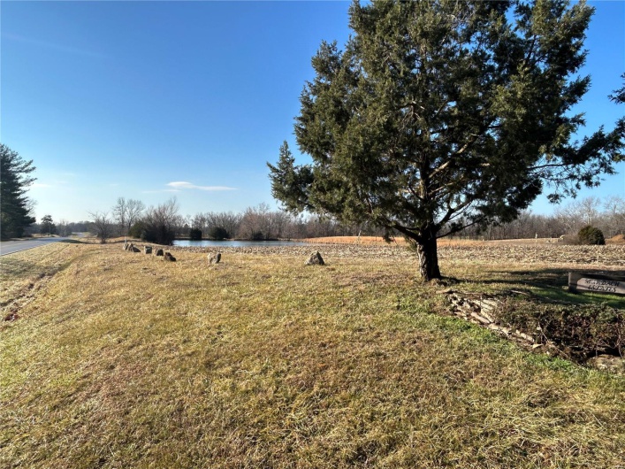 View of yard with a rural view