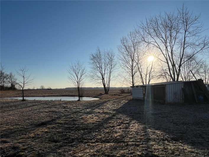 View of yard at dusk