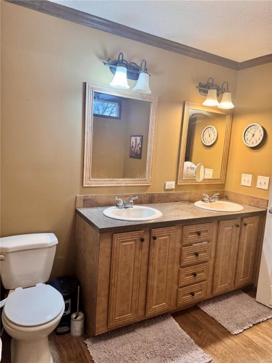 Bathroom with vanity, wood-type flooring, ornamental molding, a textured ceiling, and toilet