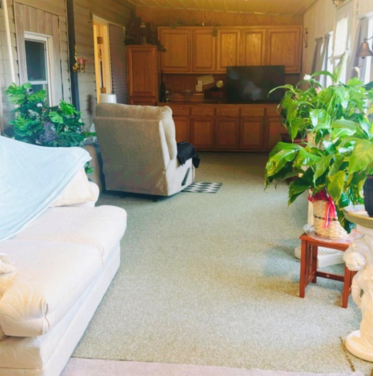 Living room featuring wooden walls and light colored carpet
