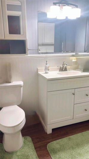 Bathroom with wood-type flooring, toilet, and vanity