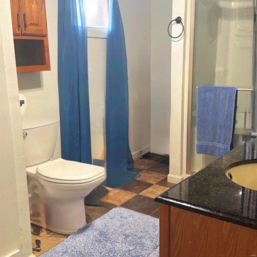 Bathroom featuring vanity and toilet
