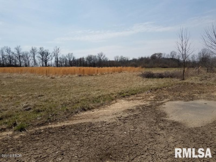 000 Business Drive, Carbondale, Illinois 62901, 0 , 0 ,0,Land,For Sale,Business,0,RMAEB454978