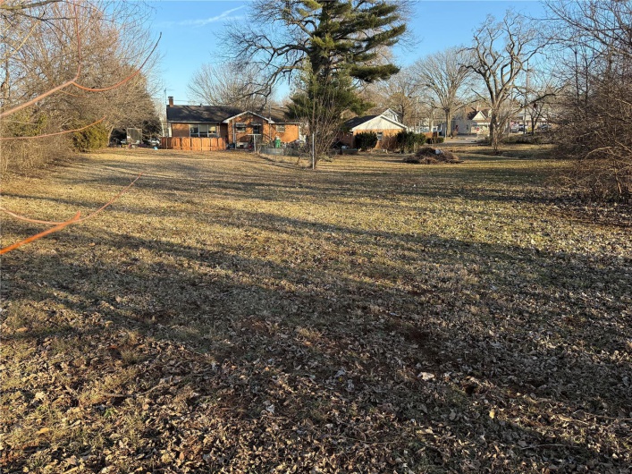 View of back yard 