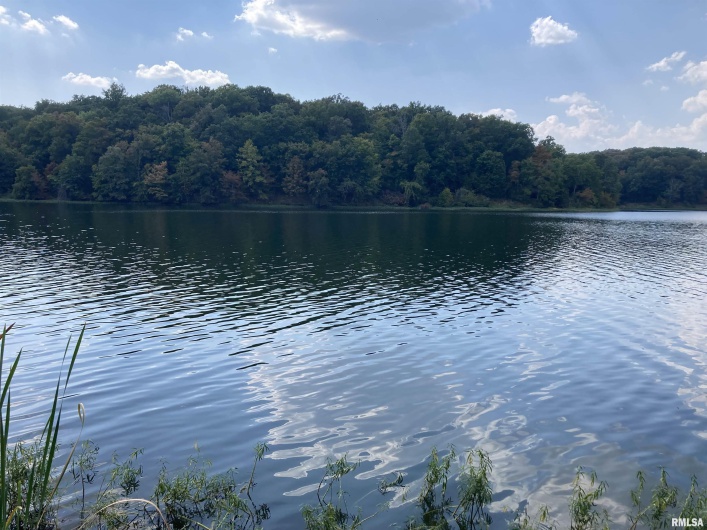 148 & 501 Parrish Ridge Lane, Goreville, Illinois 62939, 0 , 0 ,0,Land,For Sale,Parrish Ridge,0,RMAEB455477