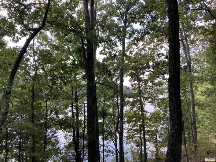 148 & 501 Parrish Ridge Lane, Goreville, Illinois 62939, 0 , 0 ,0,Land,For Sale,Parrish Ridge,0,RMAEB455477