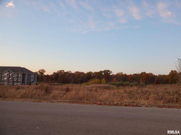 000 Reed Station Parkway, Carbondale, Illinois 62901, 0 , 0 ,0,Land,For Sale,Reed Station,0,RMAEB455471