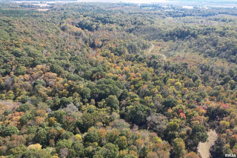 000 Kedron Road, Equality, Illinois 62934, 0 , 0 ,0,Land,For Sale,Kedron,0,RMAEB455608