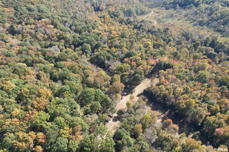 000 Kedron Road, Equality, Illinois 62934, 0 , 0 ,0,Land,For Sale,Kedron,0,RMAEB455608
