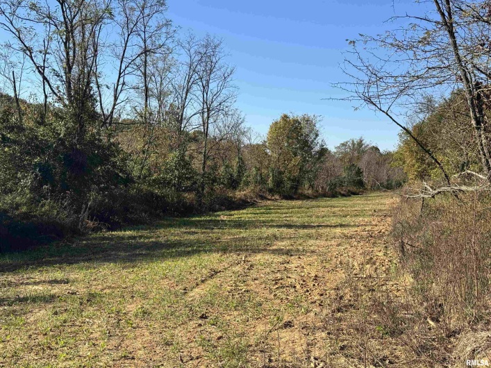 000 Kedron Road, Equality, Illinois 62934, 0 , 0 ,0,Land,For Sale,Kedron,0,RMAEB455608