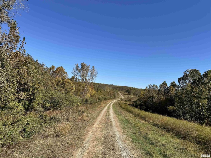 000 Kedron Road, Equality, Illinois 62934, 0 , 0 ,0,Land,For Sale,Kedron,0,RMAEB455608
