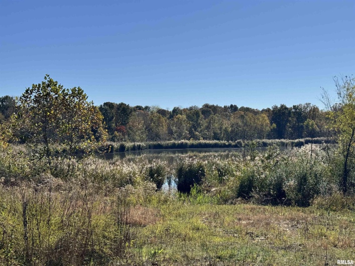 000 Kedron Road, Equality, Illinois 62934, 0 , 0 ,0,Land,For Sale,Kedron,0,RMAEB455608