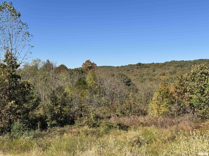 000 Kedron Road, Equality, Illinois 62934, 0 , 0 ,0,Land,For Sale,Kedron,0,RMAEB455608