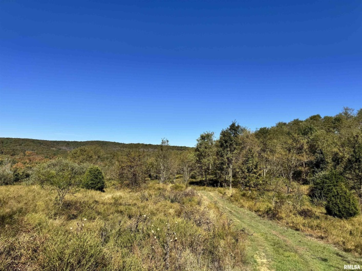 000 Kedron Road, Equality, Illinois 62934, 0 , 0 ,0,Land,For Sale,Kedron,0,RMAEB455608