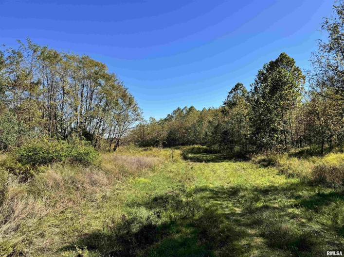 000 Kedron Road, Equality, Illinois 62934, 0 , 0 ,0,Land,For Sale,Kedron,0,RMAEB455608