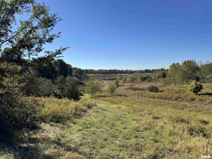 000 Kedron Road, Equality, Illinois 62934, 0 , 0 ,0,Land,For Sale,Kedron,0,RMAEB455608
