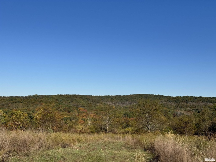 000 Kedron Road, Equality, Illinois 62934, 0 , 0 ,0,Land,For Sale,Kedron,0,RMAEB455608