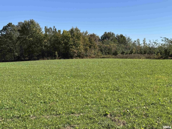 000 Kedron Road, Equality, Illinois 62934, 0 , 0 ,0,Land,For Sale,Kedron,0,RMAEB455608