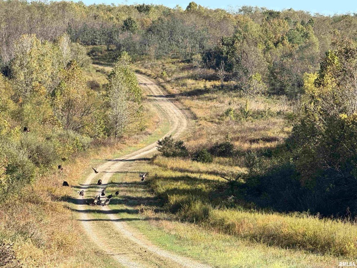 000 Kedron Road, Equality, Illinois 62934, 0 , 0 ,0,Land,For Sale,Kedron,0,RMAEB455608