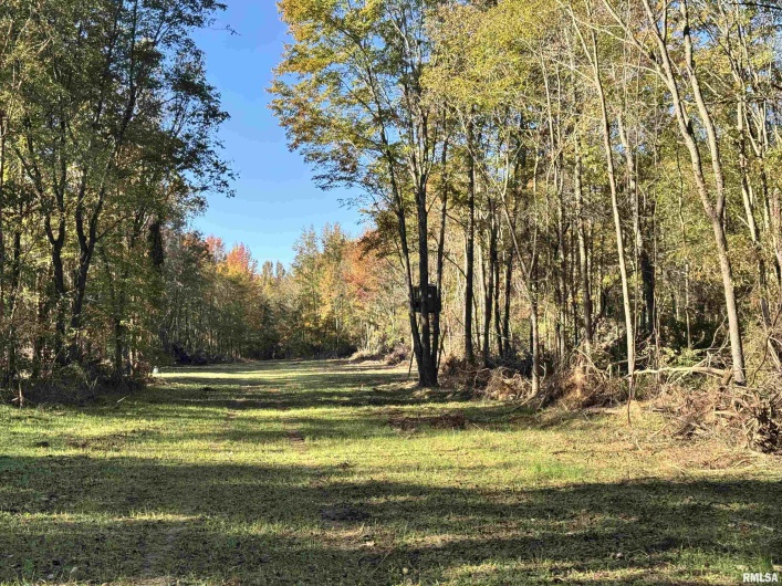 000 Kedron Road, Equality, Illinois 62934, 0 , 0 ,0,Land,For Sale,Kedron,0,RMAEB455608