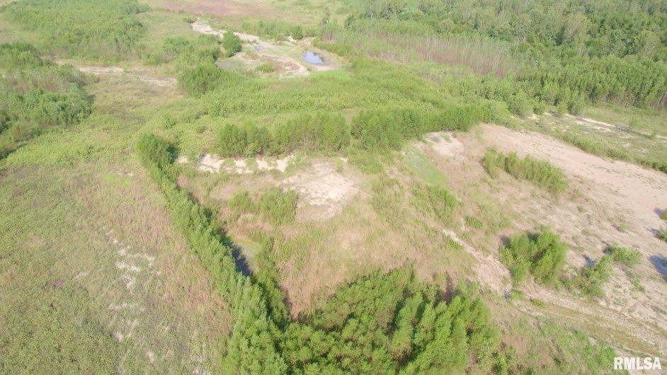 000 WATSON Road, Miller City, Illinois 62962, 0 , 0 ,0,Land,For Sale,WATSON,0,RMACA1032600