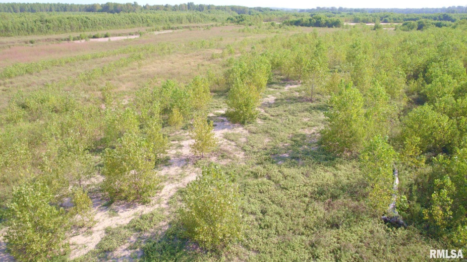 000 WATSON Road, Miller City, Illinois 62962, 0 , 0 ,0,Land,For Sale,WATSON,0,RMACA1032600