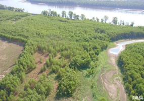 000 WATSON Road, Miller City, Illinois 62962, 0 , 0 ,0,Land,For Sale,WATSON,0,RMACA1032600
