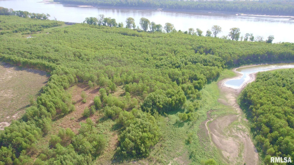 000 WATSON Road, Miller City, Illinois 62962, 0 , 0 ,0,Land,For Sale,WATSON,0,RMACA1032600