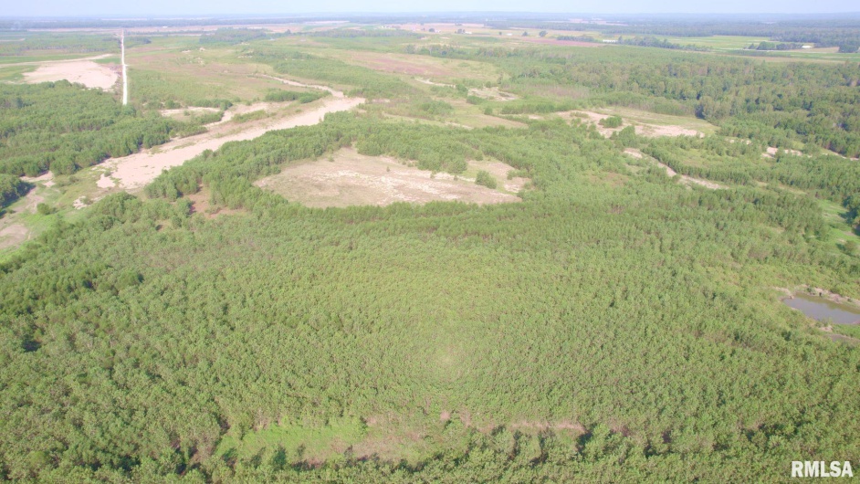 000 WATSON Road, Miller City, Illinois 62962, 0 , 0 ,0,Land,For Sale,WATSON,0,RMACA1032600