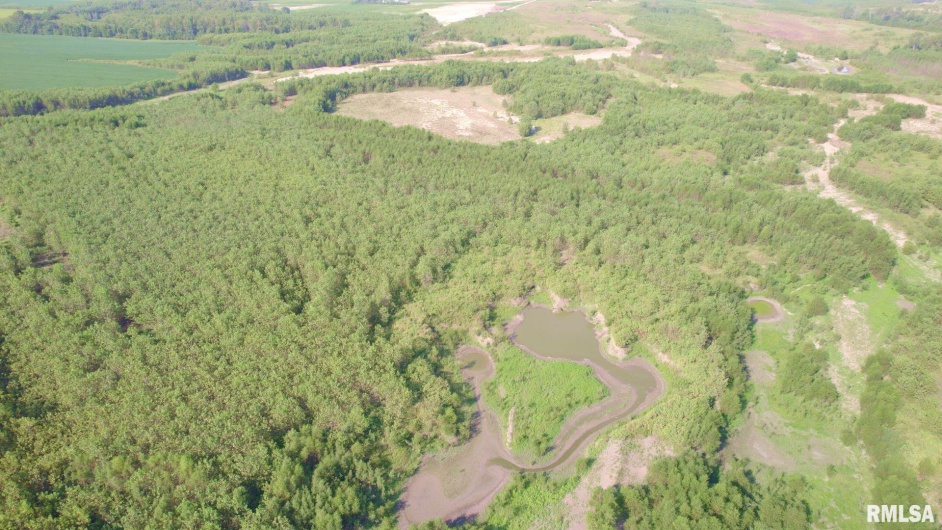 000 WATSON Road, Miller City, Illinois 62962, 0 , 0 ,0,Land,For Sale,WATSON,0,RMACA1032600