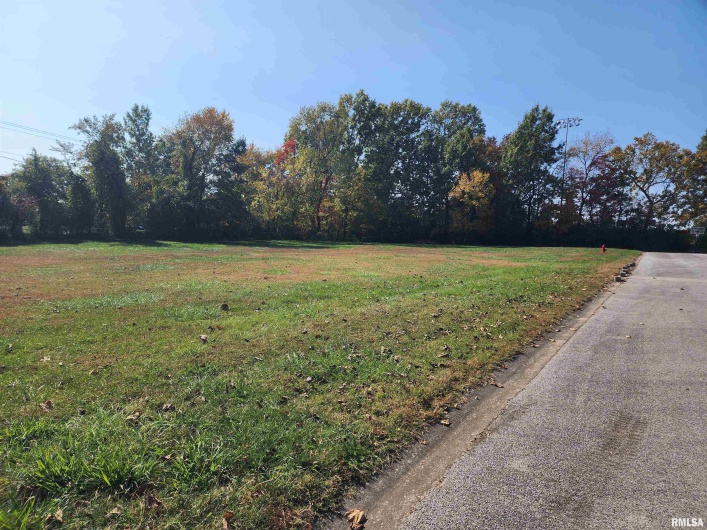000 MEADOWBROOK Lane, Carbondale, Illinois 62901, 0 , 0 ,0,Land,For Sale,MEADOWBROOK,0,RMAEB455622