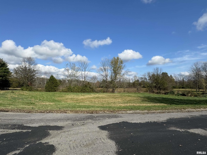 000 CHEROKEE Street, Vienna, Illinois 62995-0000, 0 , 0 ,0,Land,For Sale,CHEROKEE,0,RMAEB455849