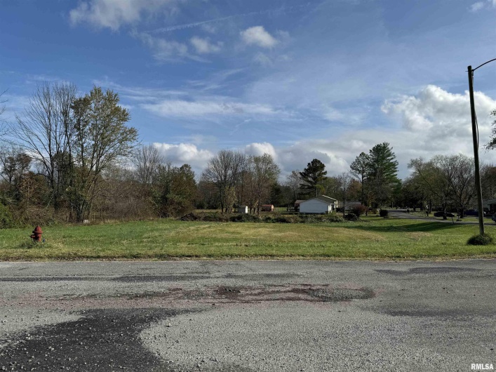 000 CHEROKEE Street, Vienna, Illinois 62995-0000, 0 , 0 ,0,Land,For Sale,CHEROKEE,0,RMAEB455849