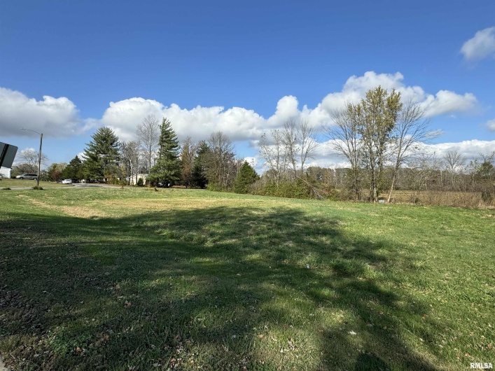 000 CHEROKEE Street, Vienna, Illinois 62995-0000, 0 , 0 ,0,Land,For Sale,CHEROKEE,0,RMAEB455849