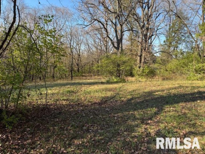 40 Crockett Road, Carbondale, Illinois 62901, 0 , 0 ,0,Residential Income,For Sale,Crockett,0,RMAEB455869
