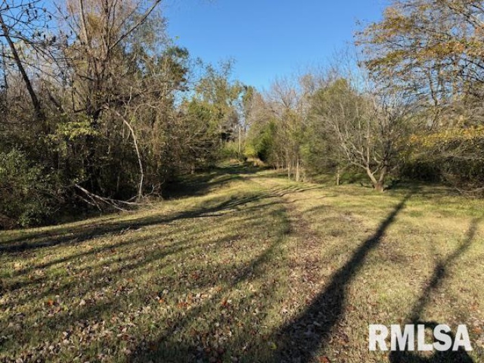40 Crockett Road, Carbondale, Illinois 62901, 0 , 0 ,0,Residential Income,For Sale,Crockett,0,RMAEB455869