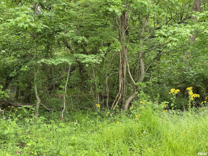 Lot 4 Choctaw Drive, Carbondale, Illinois 62901, 0 , 0 ,0,Land,For Sale,Choctaw,0,RMAEB455957