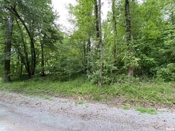 Lot 4 Choctaw Drive, Carbondale, Illinois 62901, 0 , 0 ,0,Land,For Sale,Choctaw,0,RMAEB455957