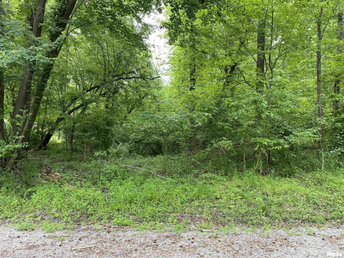 Lot 4 Choctaw Drive, Carbondale, Illinois 62901, 0 , 0 ,0,Land,For Sale,Choctaw,0,RMAEB455957