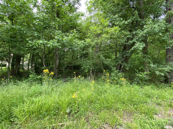 Lot 4 Choctaw Drive, Carbondale, Illinois 62901, 0 , 0 ,0,Land,For Sale,Choctaw,0,RMAEB455957