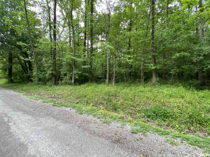 Lot 4 Choctaw Drive, Carbondale, Illinois 62901, 0 , 0 ,0,Land,For Sale,Choctaw,0,RMAEB455957