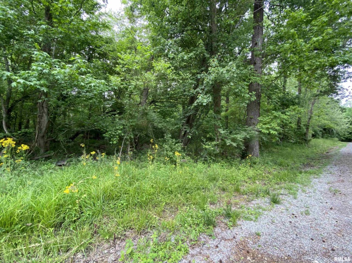 Lot 4 Choctaw Drive, Carbondale, Illinois 62901, 0 , 0 ,0,Land,For Sale,Choctaw,0,RMAEB455957