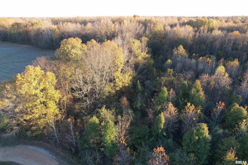 Lot 17 Krystal Lane, Metropolis, Illinois 62960, 0 , 0 ,0,Land,For Sale,Krystal,0,RMAEB455976