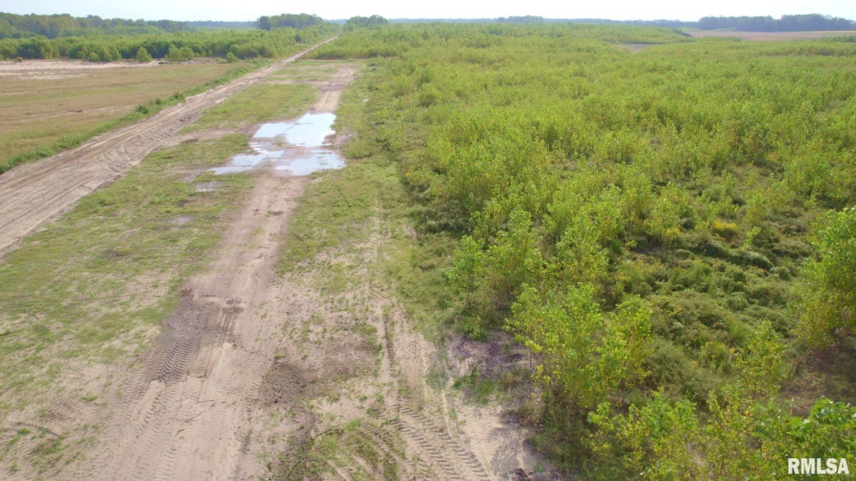 0000 WATSON Road, Miller City, Illinois 62962, 0 , 0 ,0,Land,For Sale,WATSON,0,RMACA1032822