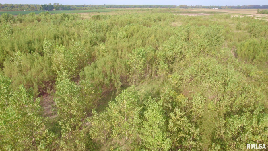 0000 WATSON Road, Miller City, Illinois 62962, 0 , 0 ,0,Land,For Sale,WATSON,0,RMACA1032822