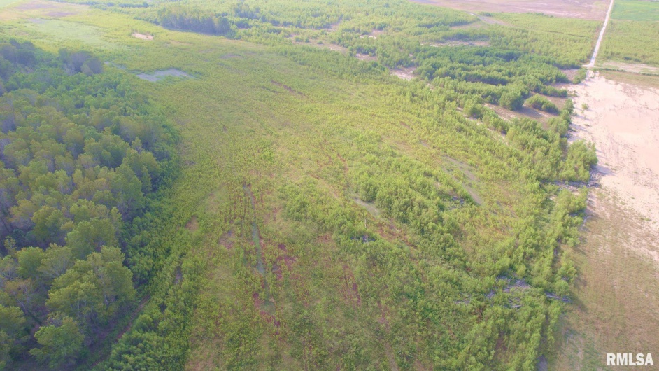 0000 WATSON Road, Miller City, Illinois 62962, 0 , 0 ,0,Land,For Sale,WATSON,0,RMACA1032822