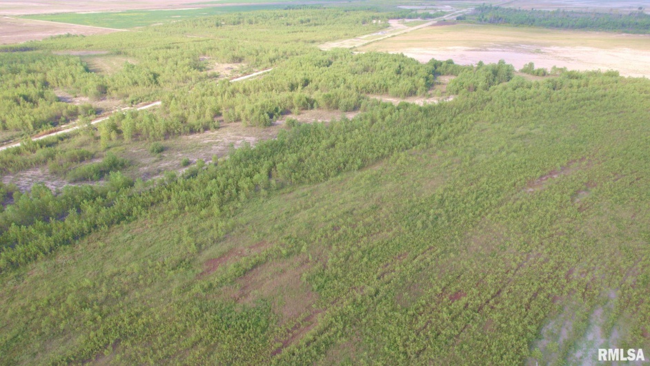 0000 WATSON Road, Miller City, Illinois 62962, 0 , 0 ,0,Land,For Sale,WATSON,0,RMACA1032822
